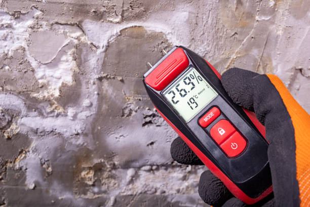 Best Local Mold Removal Service  in Ada, OK