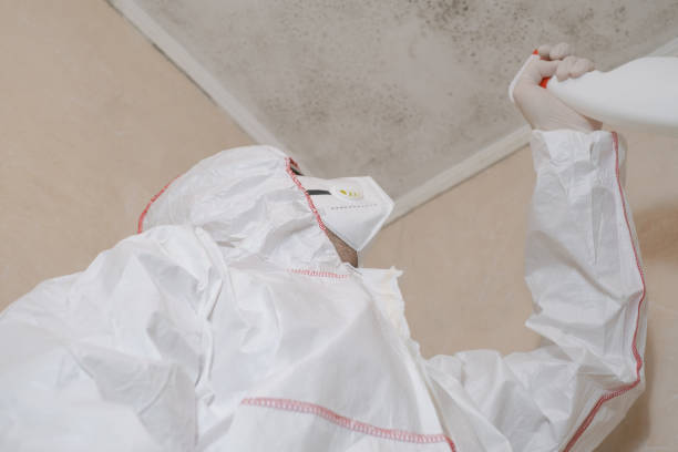 Best Crawl Space Mold Removal  in Ada, OK