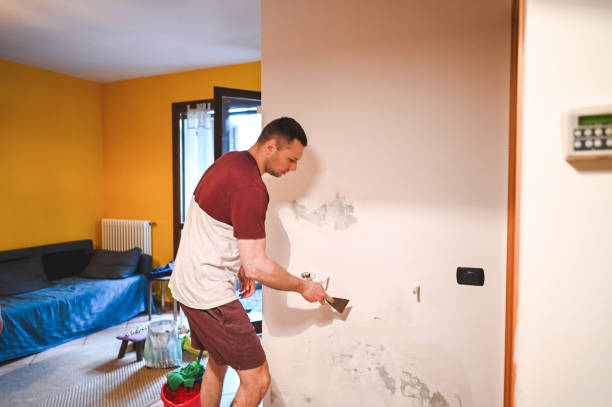 Best Residential Mold Removal  in Ada, OK