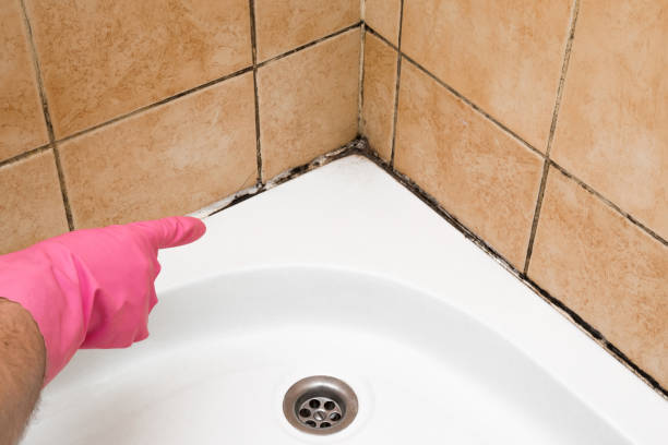 Best Mold Remediation  in Ada, OK